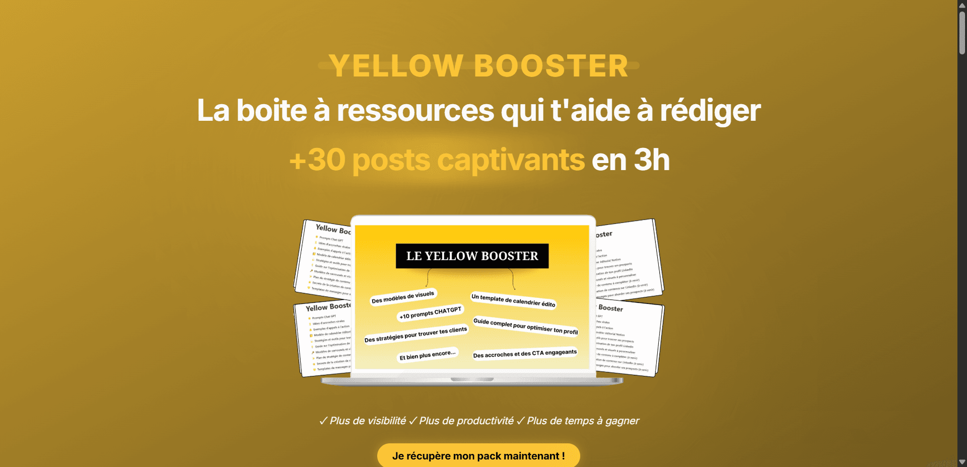 Réalisation Digiplex : Yellow Booster - Landing Page. Expert en création de sites web et applications mobiles au Bénin.