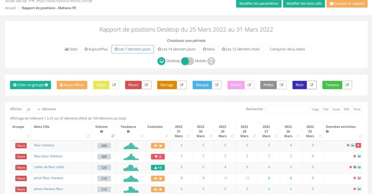 Lighting SEO : un outil de suivi de positionnement Google et d'optimisations SEO