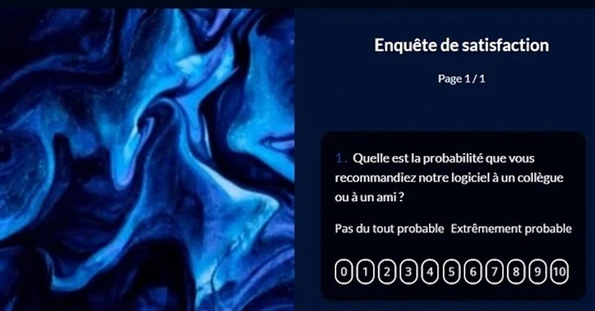 Drag’n Survey : un outil pour créer des sondages personnalisés