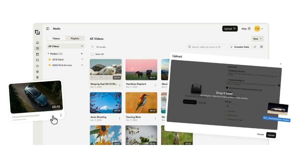 BrightCove : une plateforme de streaming et d'hÃ©bergement vidÃ©o pour les entreprises